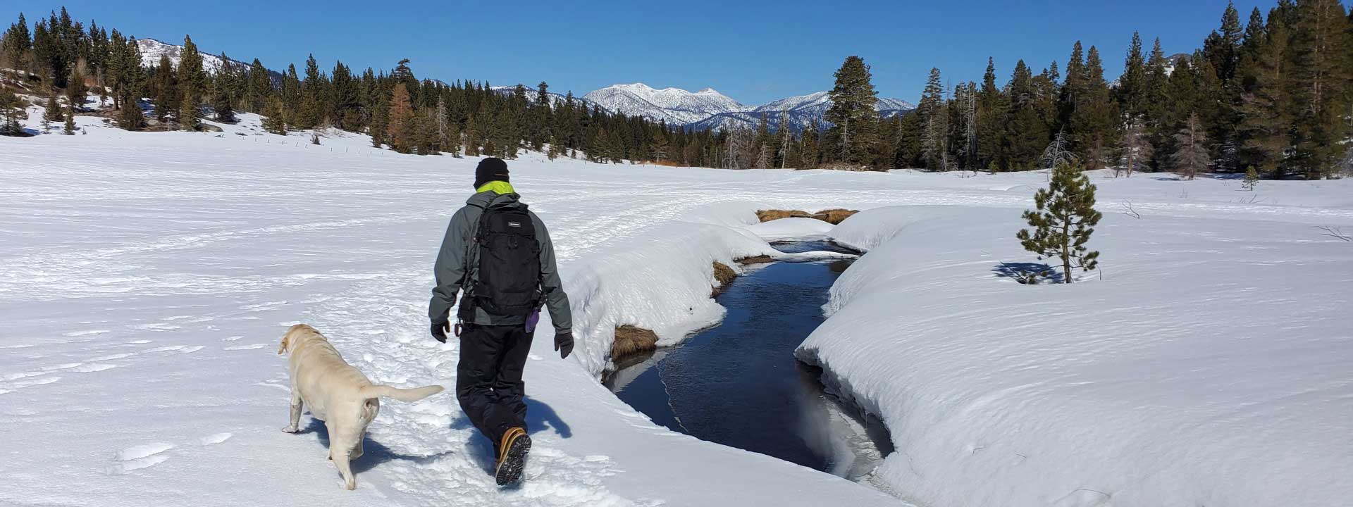 header photo of Dog and Pony Ranch