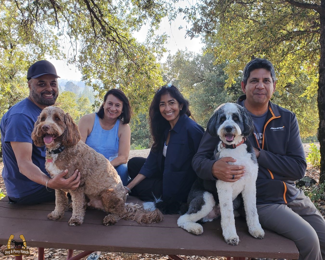 Guests at scenic photo spot