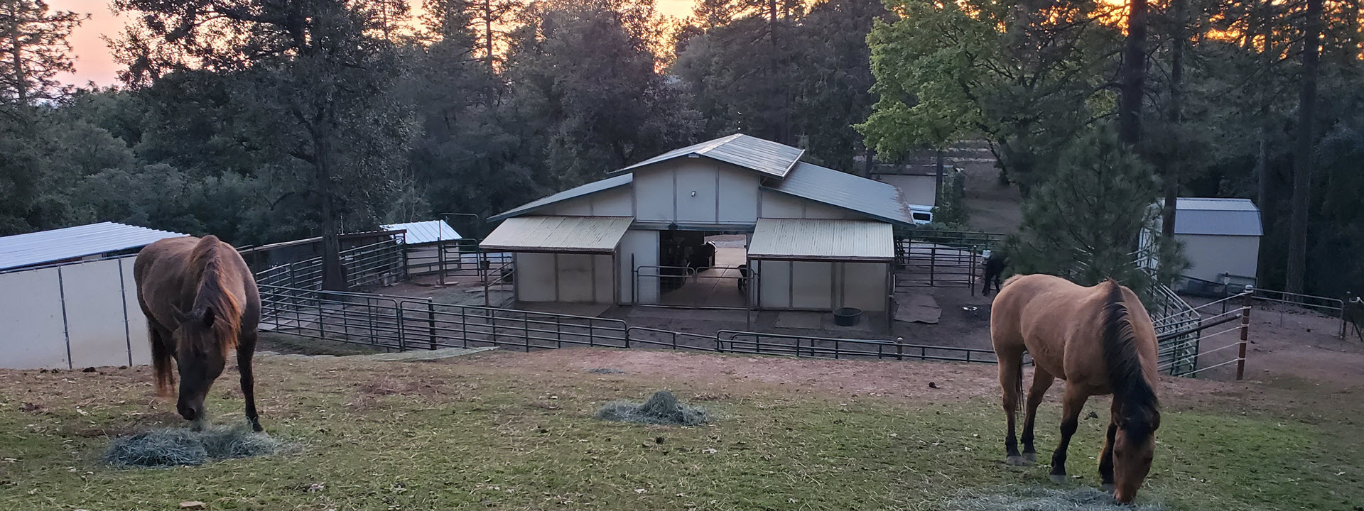 header photo of Dog and Pony Ranch