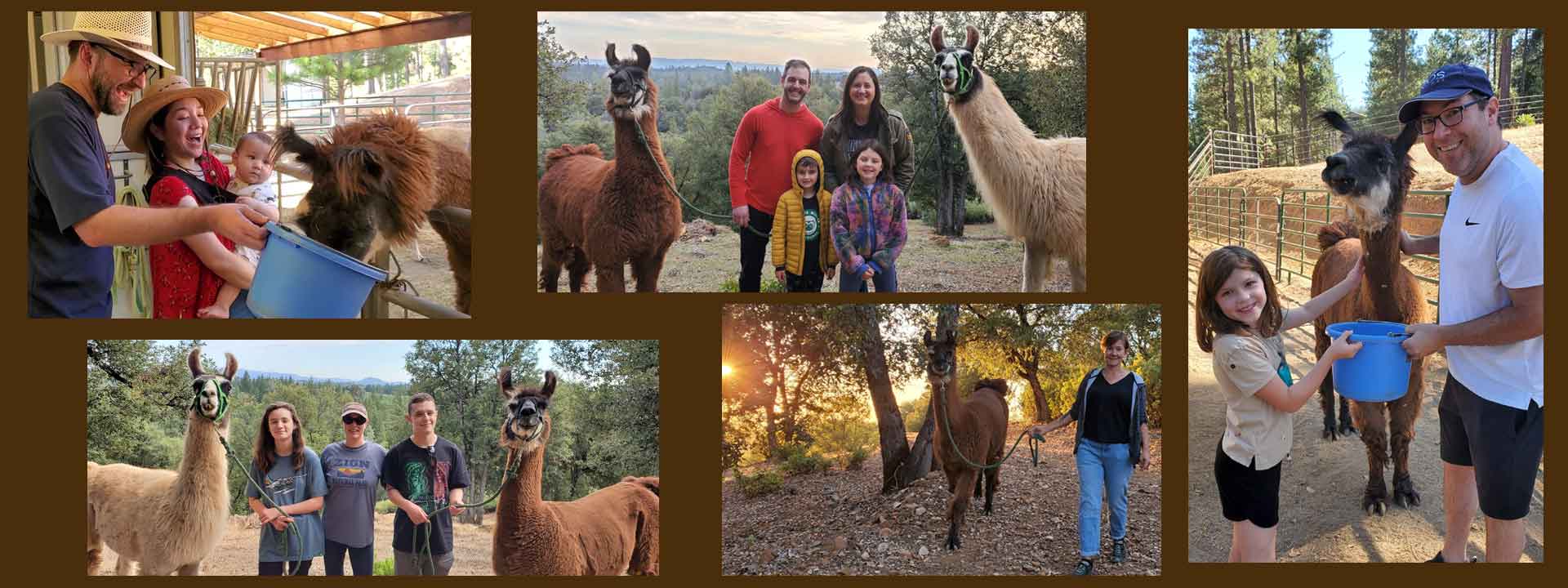 header photo of Dog and Pony Ranch