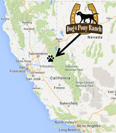 Map to ranch experience in Jackson, Northern California